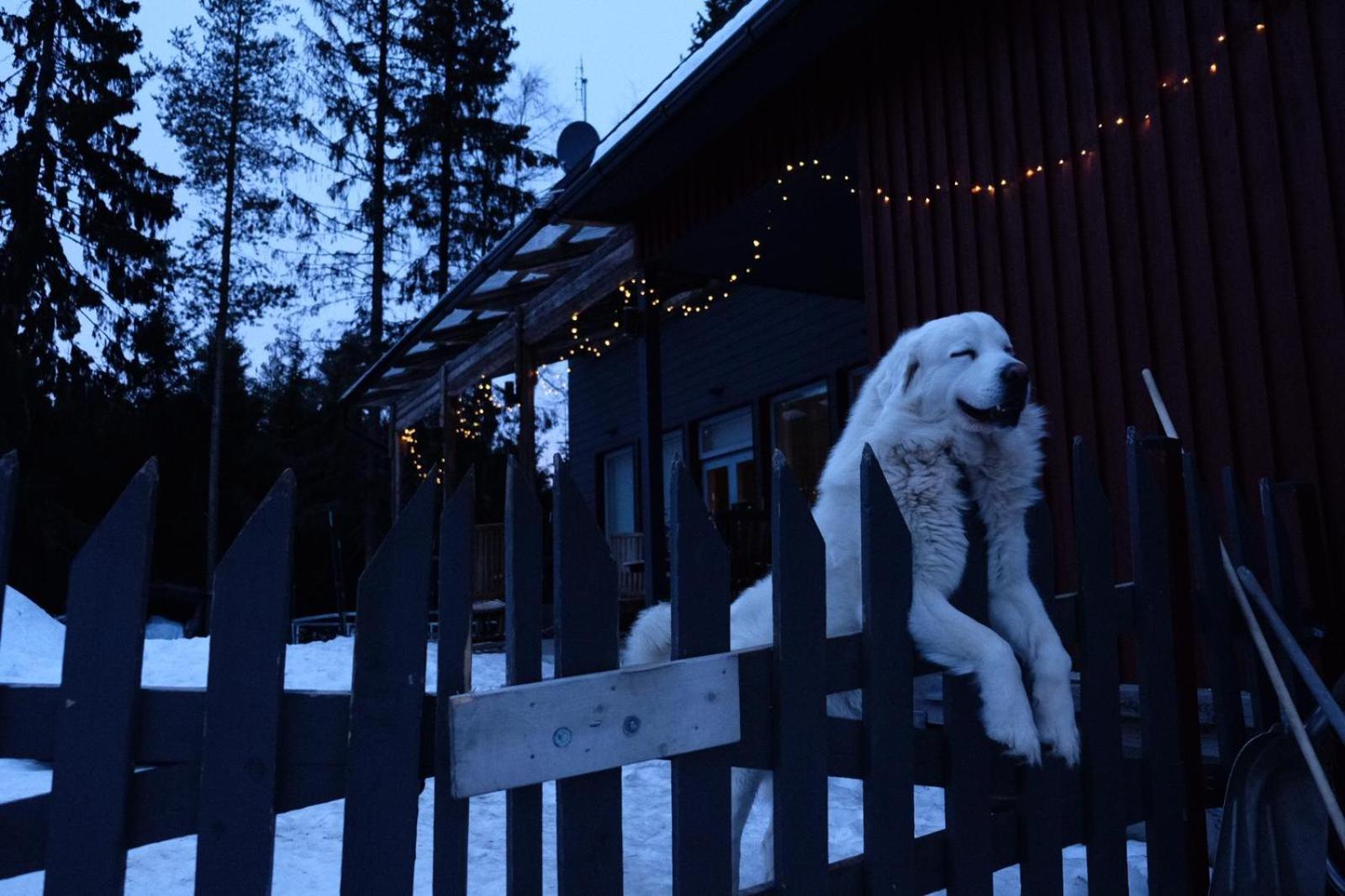 Laplandbike Apartment Arctic Circle Рованіемі Екстер'єр фото